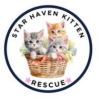 Star Haven Kitten Rescue